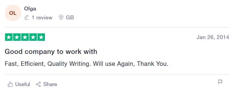 fake review example